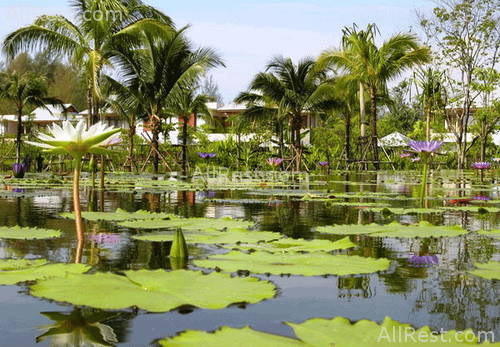 Sarojin Resort 31